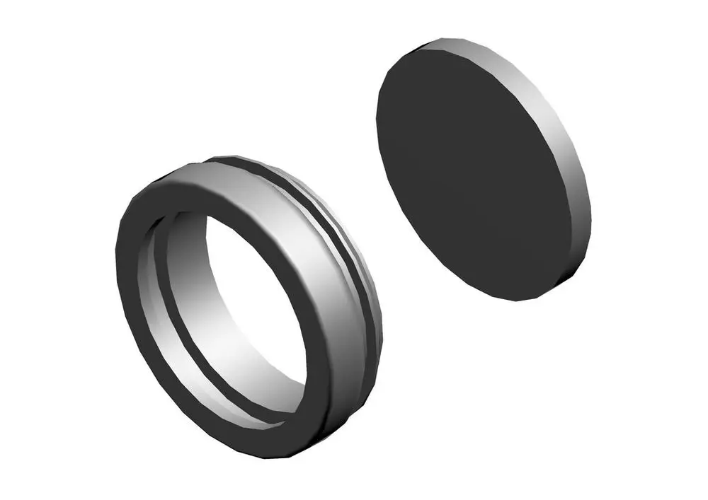 Überblick auf eine runde, silberne Dichtung oder ein Schauglas-Element von Bosch, bestehend aus einem ringförmigen Teil und einer flachen, separaten Scheibe.